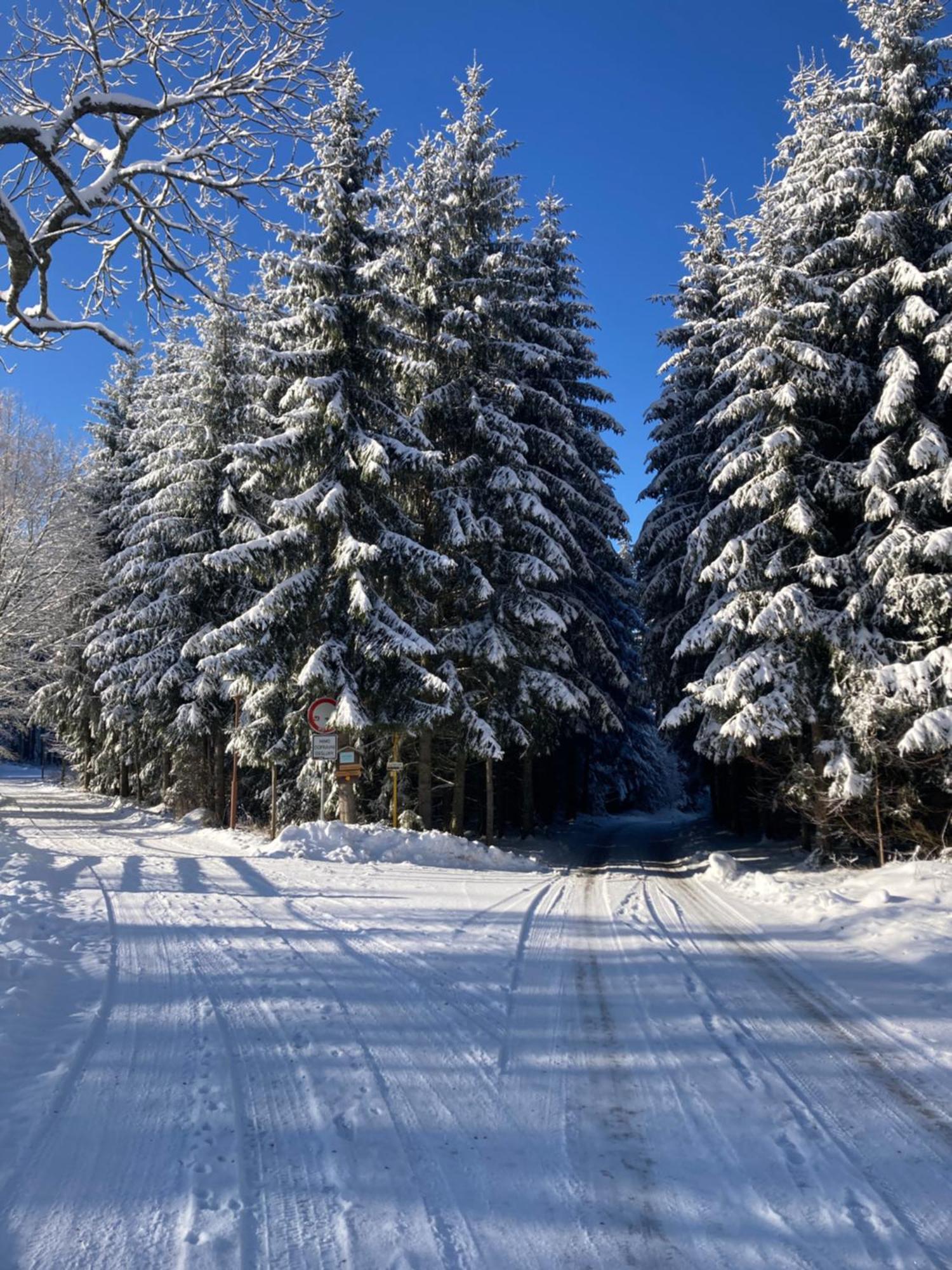 Penzion Na Habesi Kasperske Hory Exteriör bild