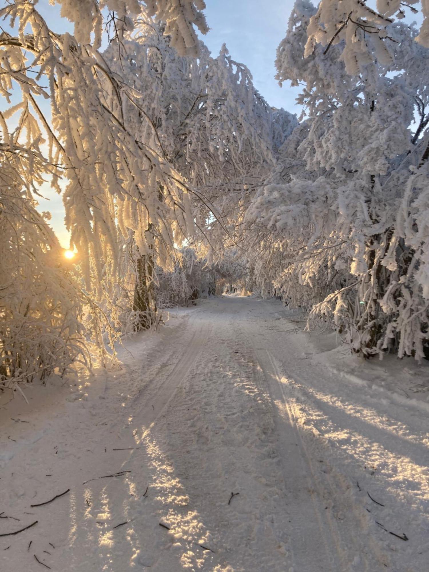 Penzion Na Habesi Kasperske Hory Exteriör bild